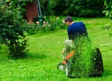 Kwikfynd Lawn Mowing
tarragindi