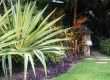 Kwikfynd Tropical Landscaping
tarragindi